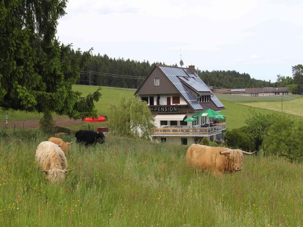 Hotel Café Pfaus Heidburg Mühlenbach Exterior foto