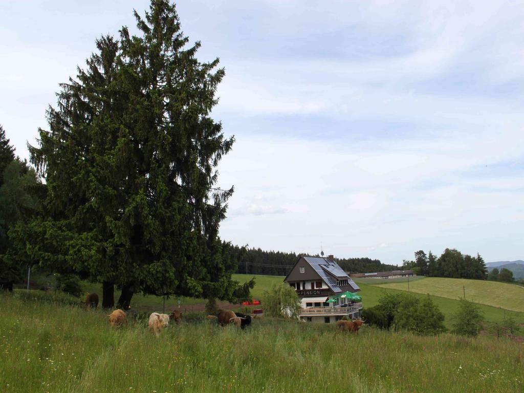 Hotel Café Pfaus Heidburg Mühlenbach Exterior foto