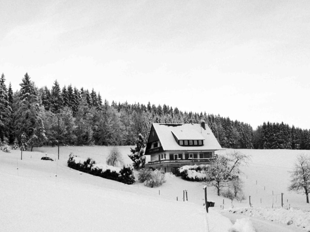 Hotel Café Pfaus Heidburg Mühlenbach Exterior foto